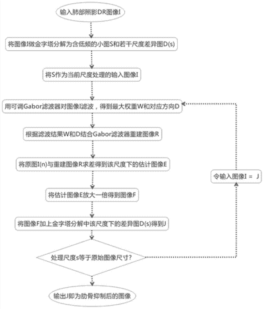开运官网|曝迪特·黑金将执教门兴格拉德巴赫(图1) 开运官网