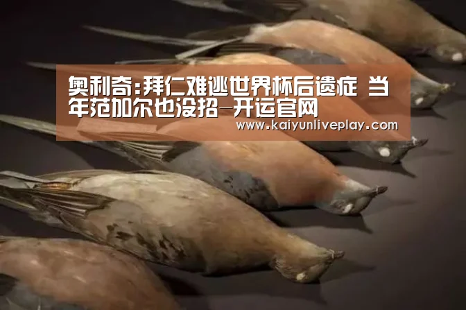 开运娱乐
